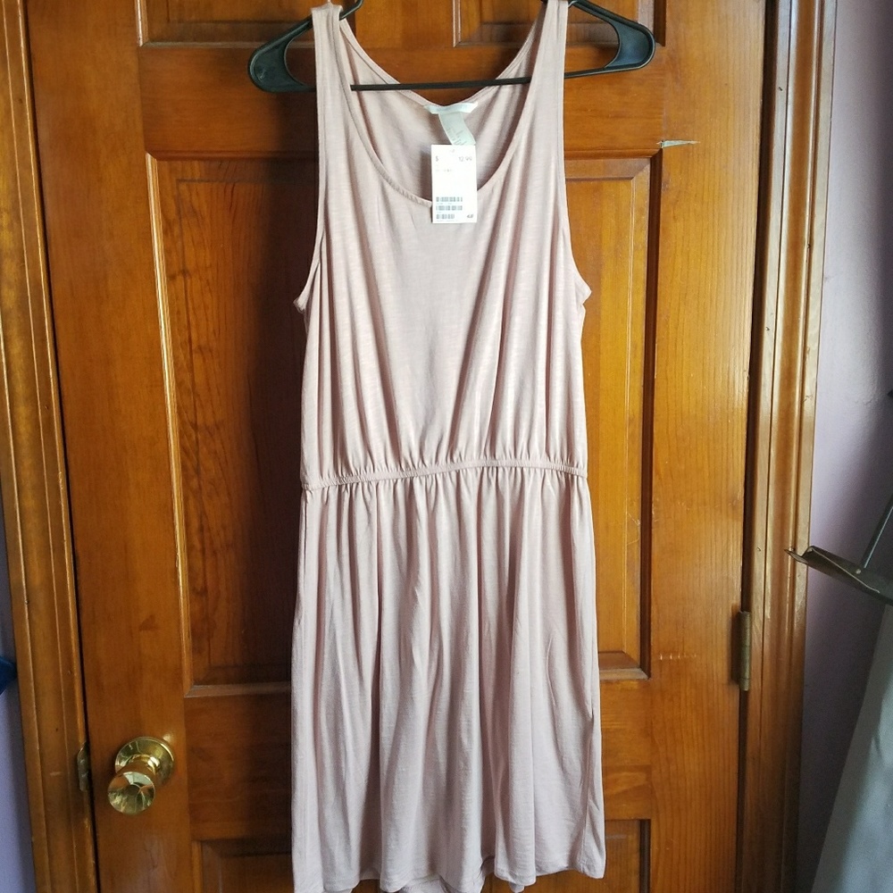 Blush Pink Dress H&M NWT